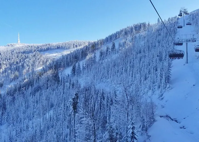 아파트 Szczyrkowskie Ski&fun 14 Z Widokiem Na Gory Sauna, Jacuzzi W Cenie Pobytu *