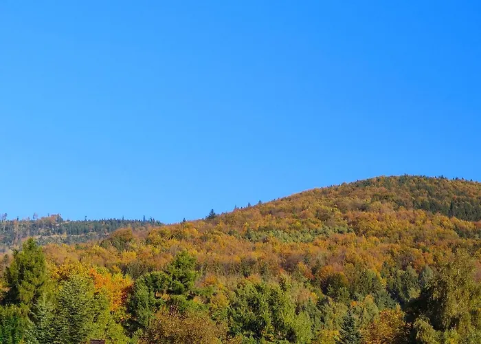 Szczyrkowskie Ski&fun 14 Z Widokiem Na Gory Sauna, Jacuzzi W Cenie Pobytu דירה שצ'צ'ירק